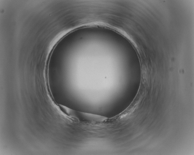 X0000071810959200607141607