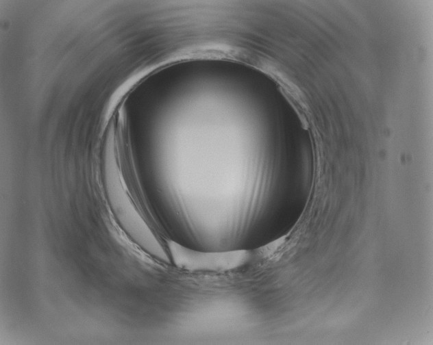 X0000071810960200607141607