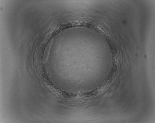 X0000071810961200607141606