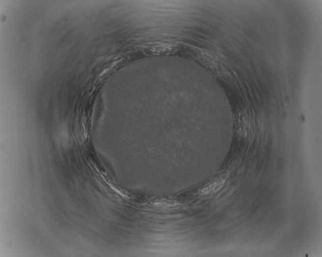 X0000071810962200607141606