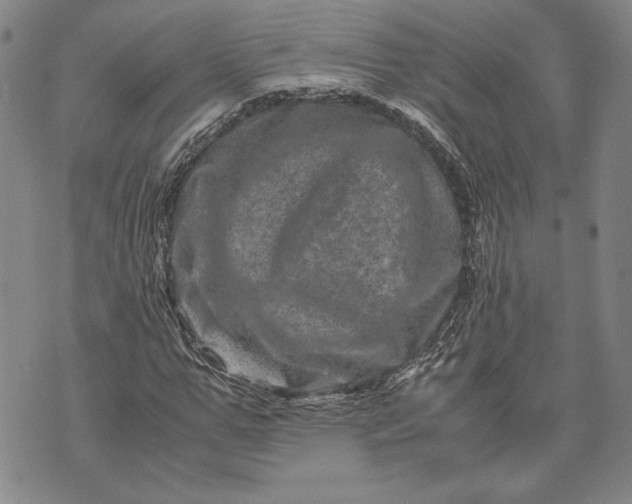 X0000071810967200607141606