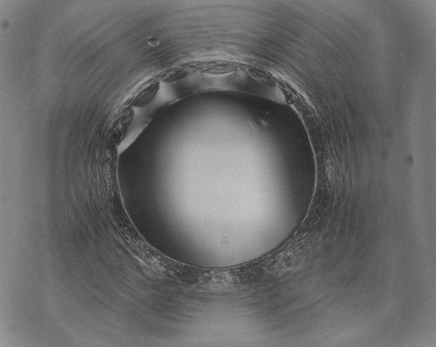 X0000071810968200607141606