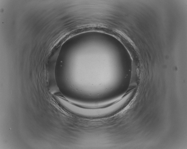 X0000071810969200607141606