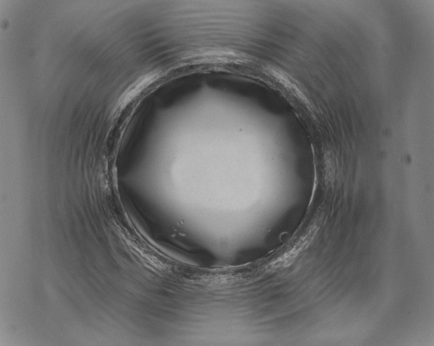 X0000071810970200607141606