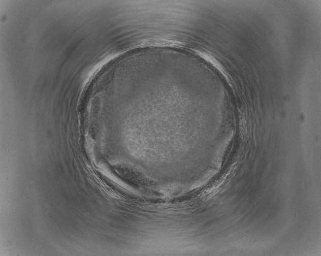 X0000071810971200607141606