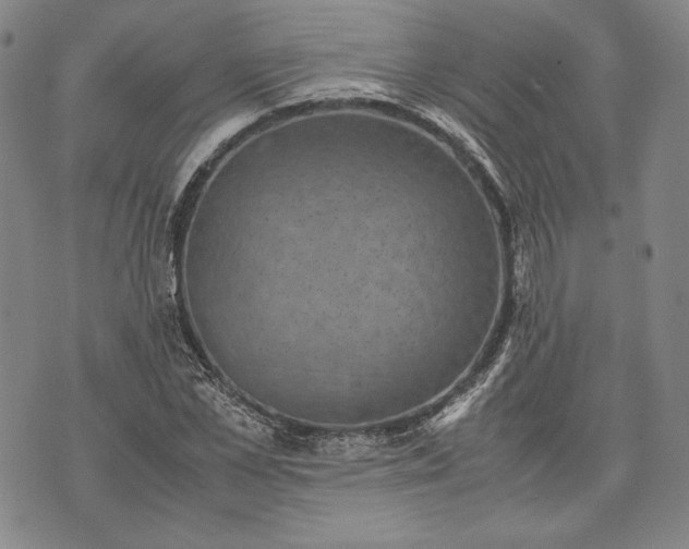 X0000071810973200607141606