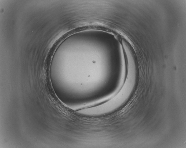 X0000071810975200607141606