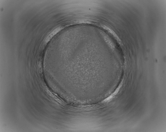 X0000071810977200607141606