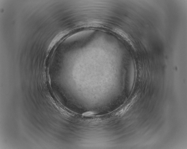 X0000071810978200607141606