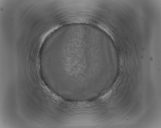 X0000071810979200607141606