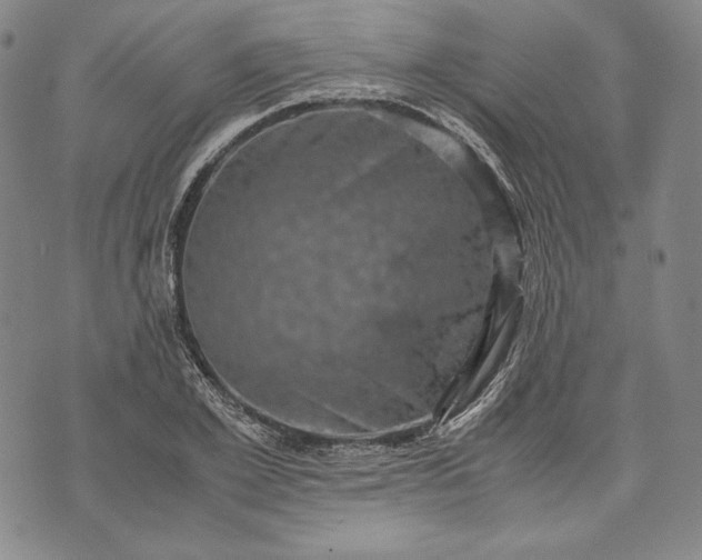 X0000071810981200607141606