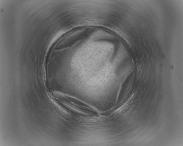 X0000071810982200607141606