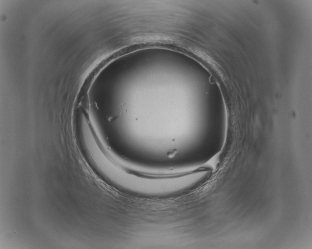 X0000071810983200607141606