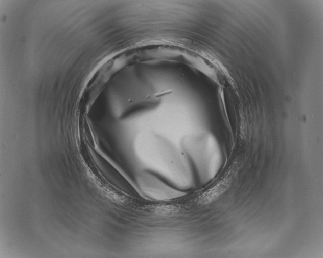 X0000071810984200607141606