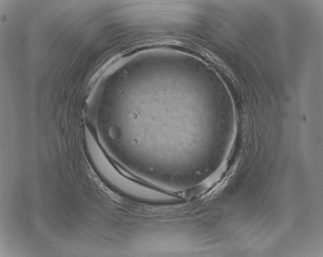 X0000071810985200607141606