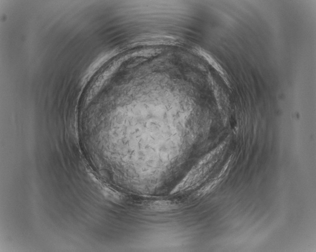 X0000071810986200607141606