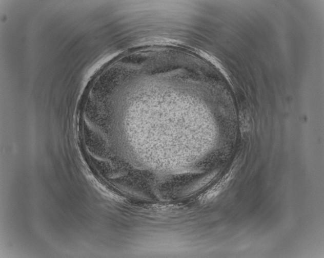 X0000071810987200607141606