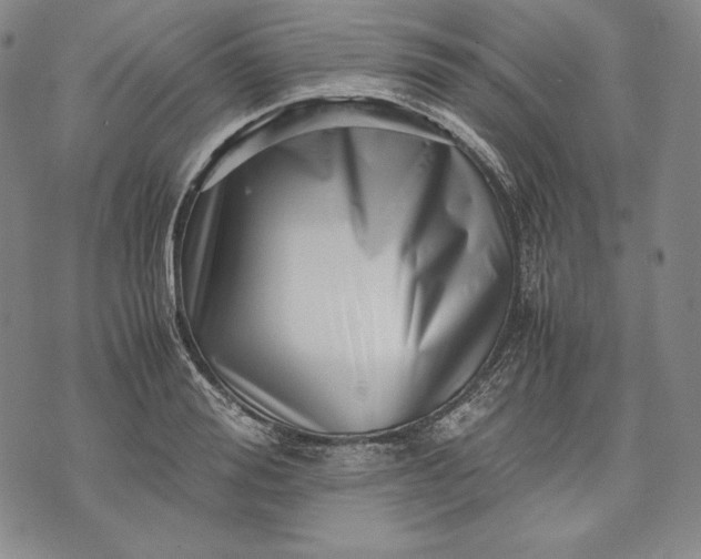 X0000071810988200607141606