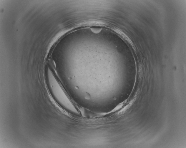 X0000071810989200607141606