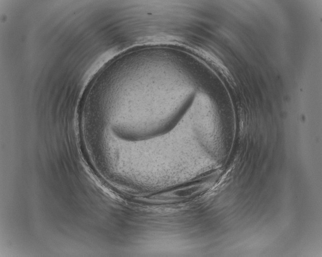 X0000071810990200607141606