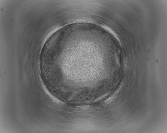 X0000071810991200607141606