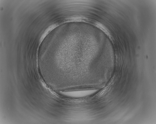 X0000071810994200607141606