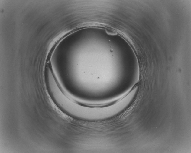 X0000071810995200607141606