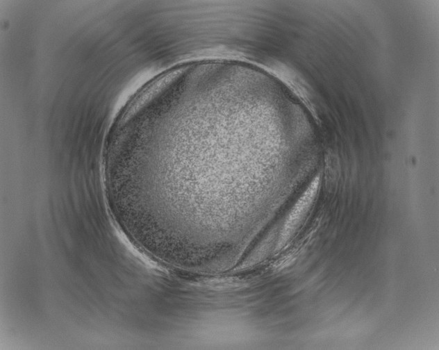 X0000071810998200607141606