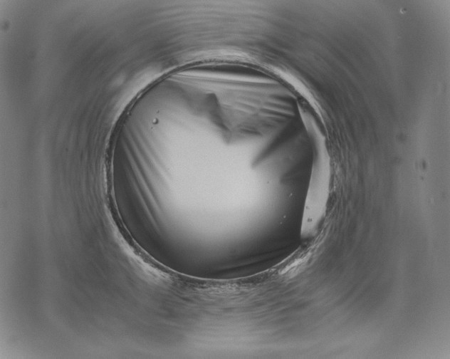 X0000071810999200607141606