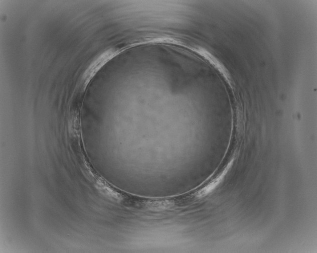 X0000071811001200607141606