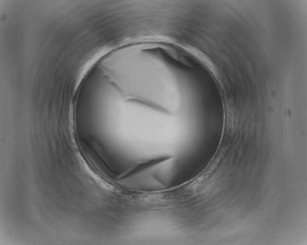 X0000071811006200607141606