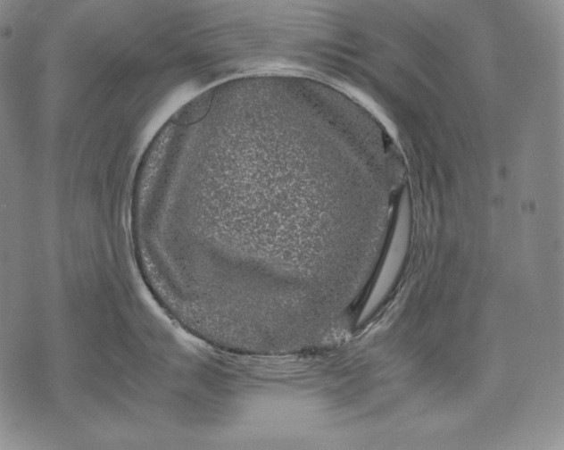 X0000071811007200607141605