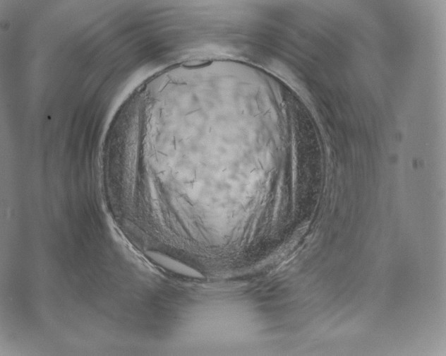 X0000071811008200607141605