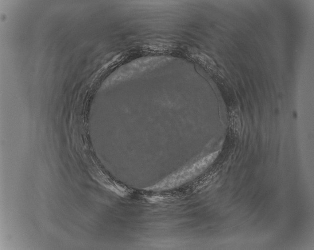 X0000071811009200607141605