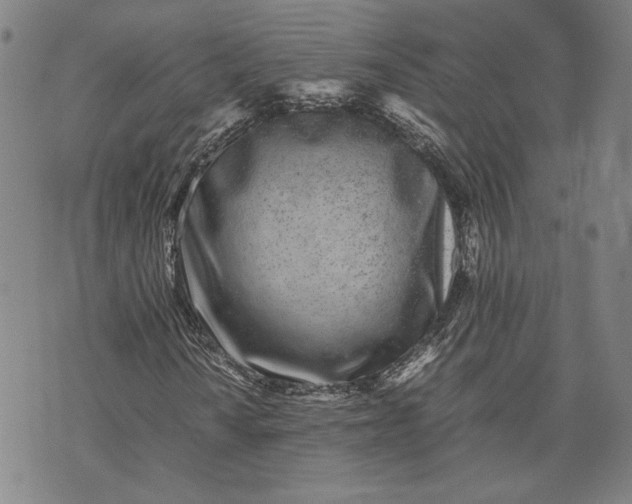 X0000071811010200607141605