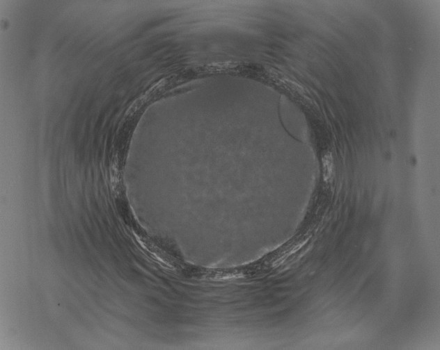 X0000071811011200607141605