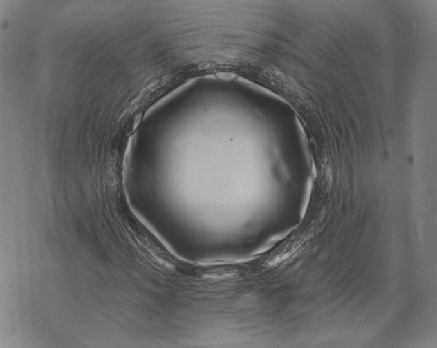 X0000071811012200607141605