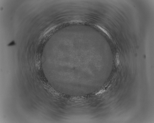 X0000071811015200607141605