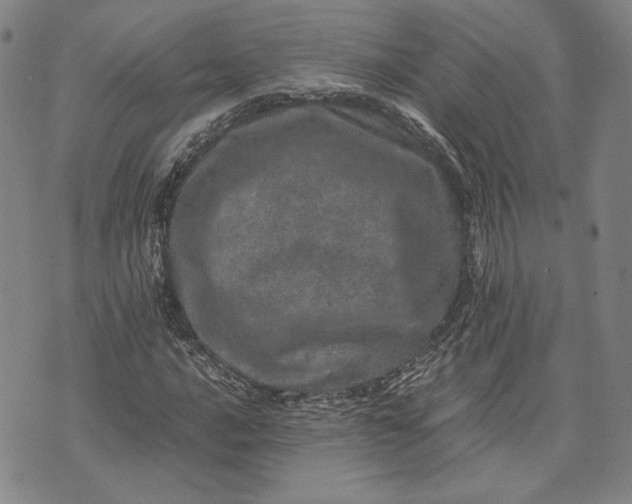 X0000071811016200607141605