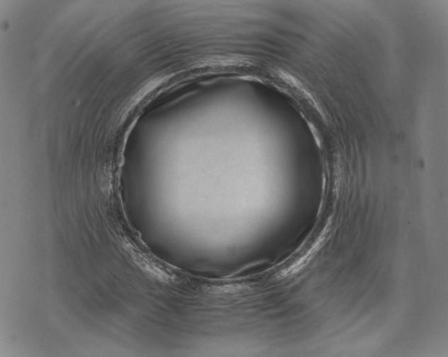 X0000071811017200607141605