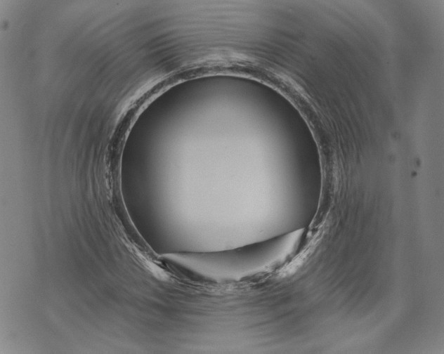 X0000071811018200607141605