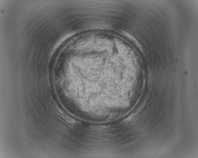 X0000071811019200607141605