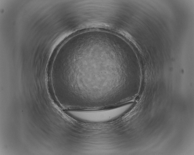 X0000071811024200607141605