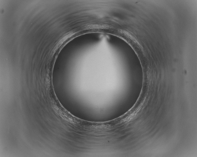 X0000071811025200607141605