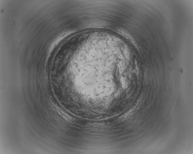 X0000071811027200607141605