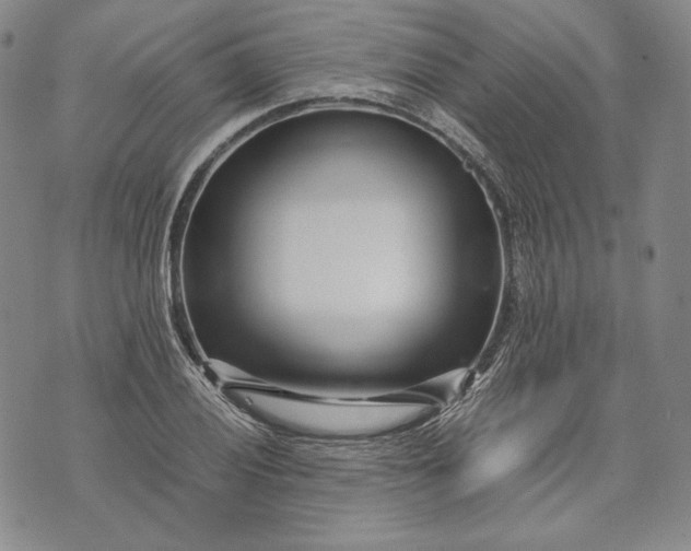 X0000071811028200607141605