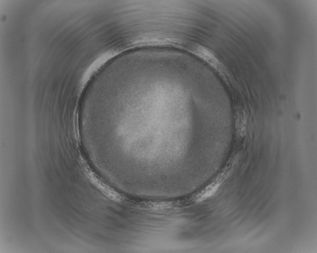 X0000071811030200607141605