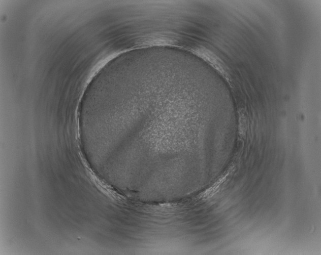 X0000071811031200607141605