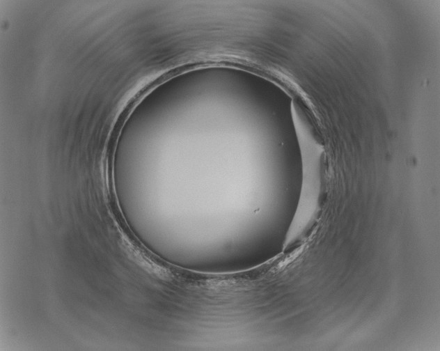 X0000071811032200607141605