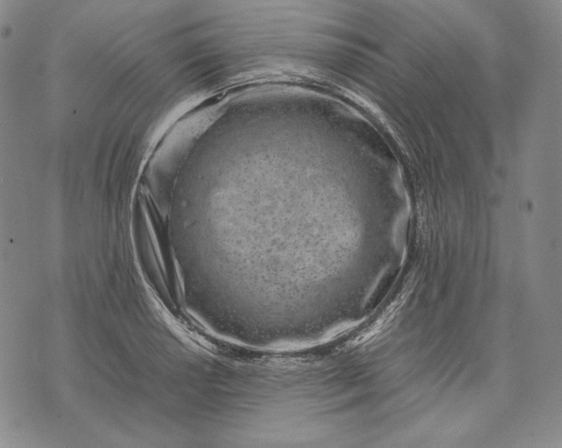 X0000071811034200607141605